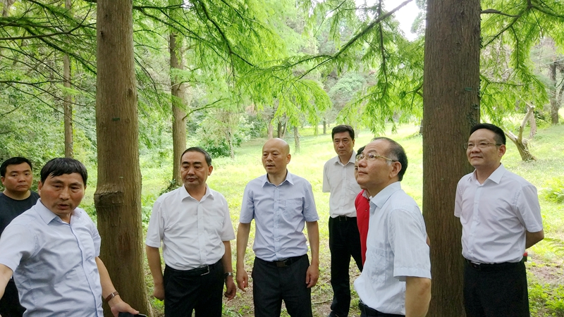 阜阳市政府代表团来所（园）考察交流