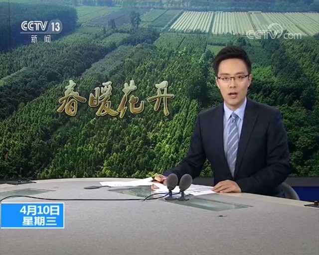 最是一年春光好，植树护绿正当时——央视新闻频道连续跟踪报道中山杉在长江消落带生态修复中的应用情况
