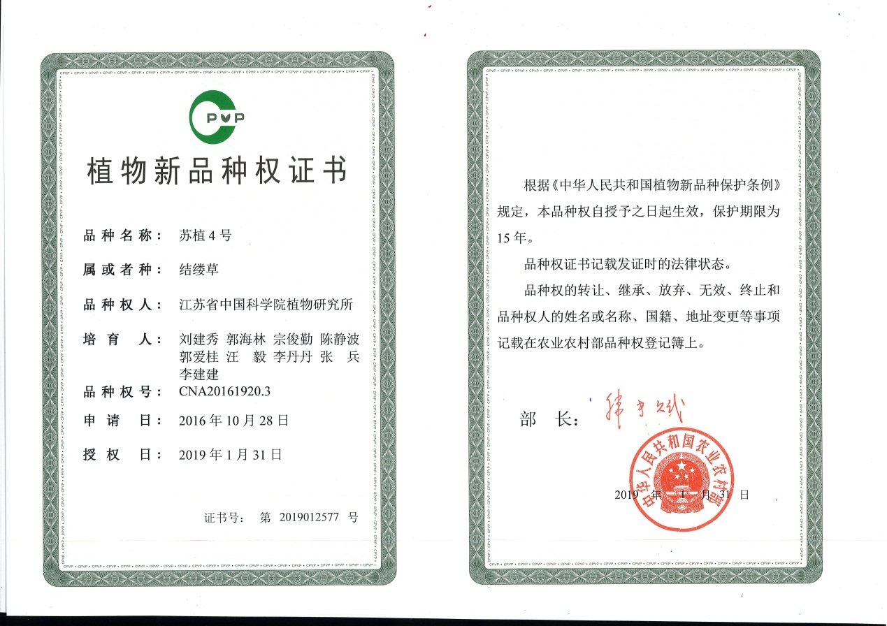 所（园）草坪草育种工作再获新成果