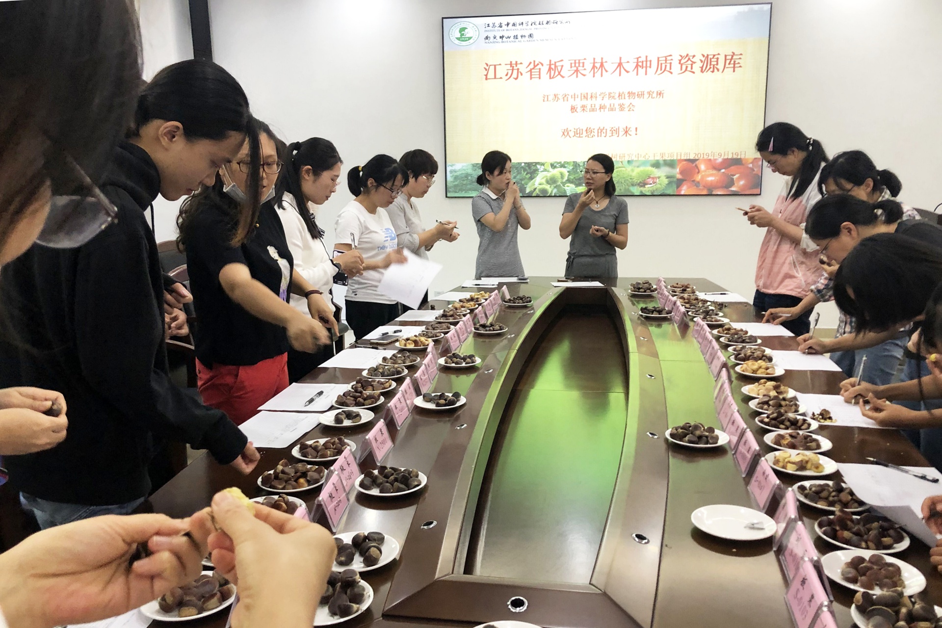 果树研究中心干果项目组举办“板栗品种品鉴会”主题活动