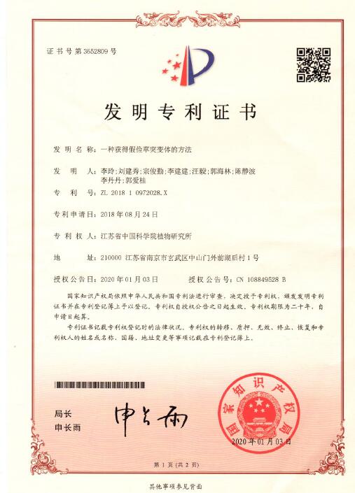 “一种获得假俭草突变体的方法”获得国家发明专利授权
