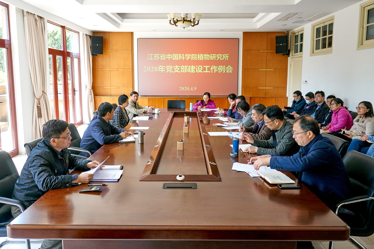 我所召开“2020年党支部建设工作例会”