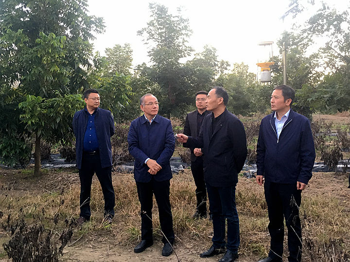 薛建辉所长赴盐城市大丰区调研