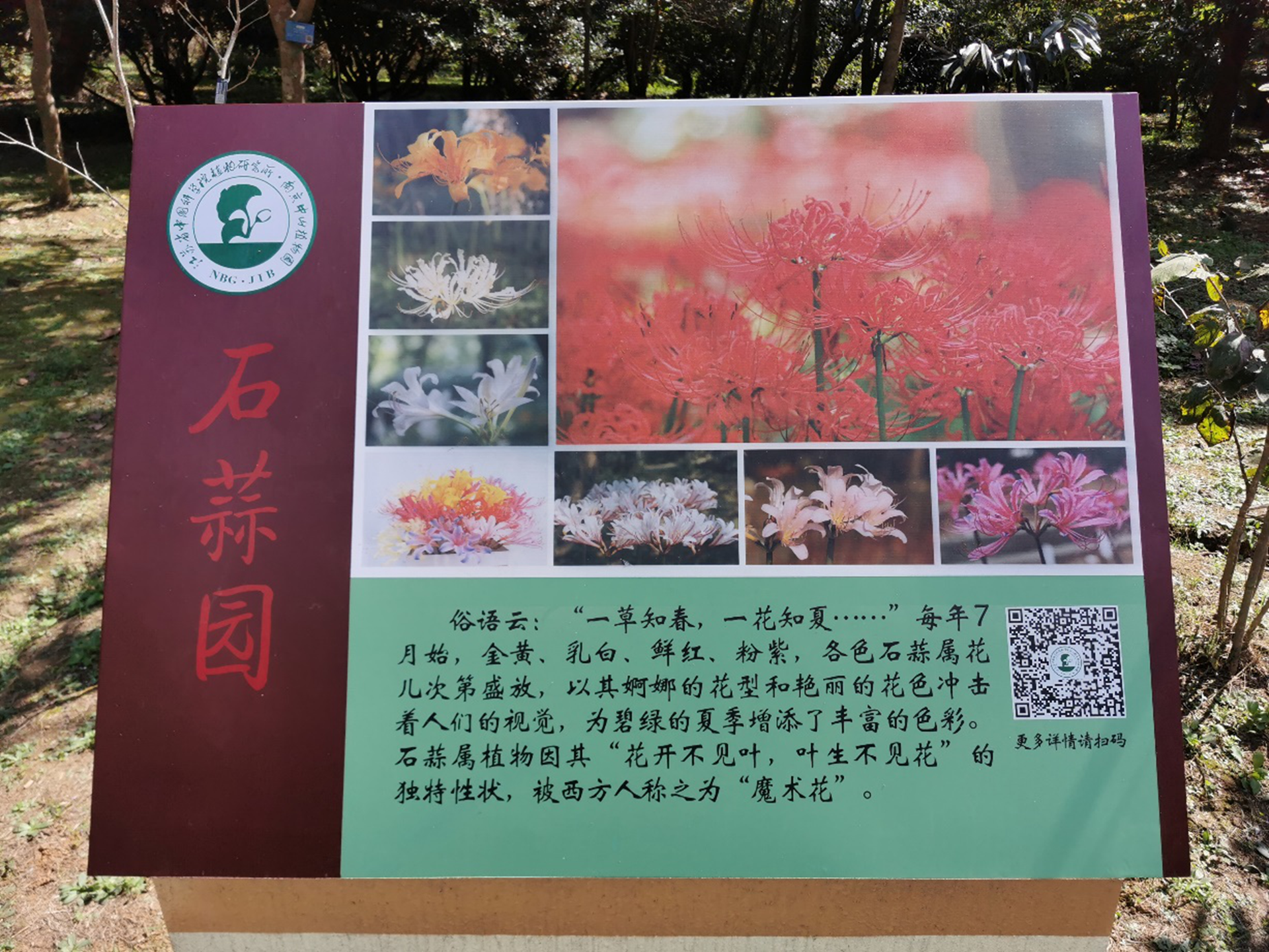 所（园）获批国家石蒜属植物种质资源库