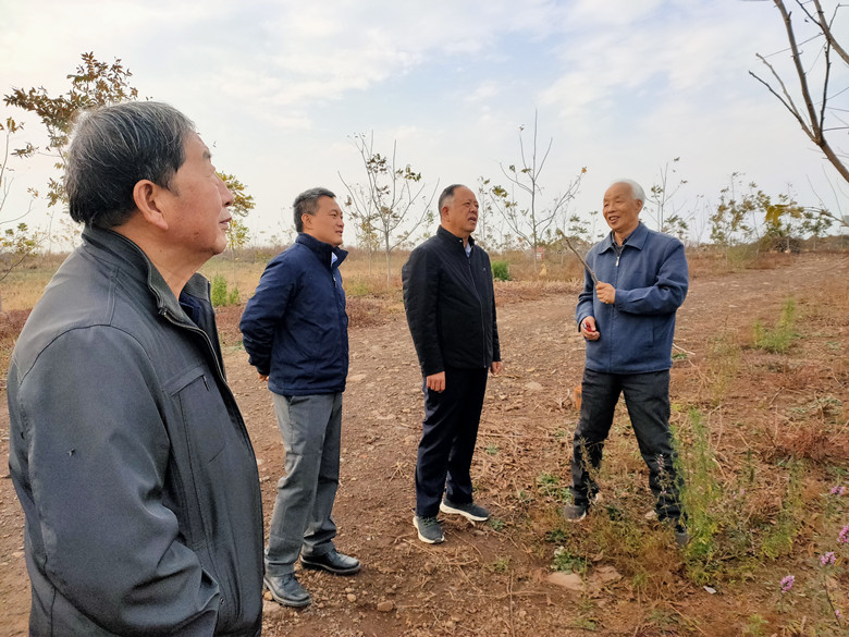 我所组织老专家赴盱眙县调研和开展技术指导