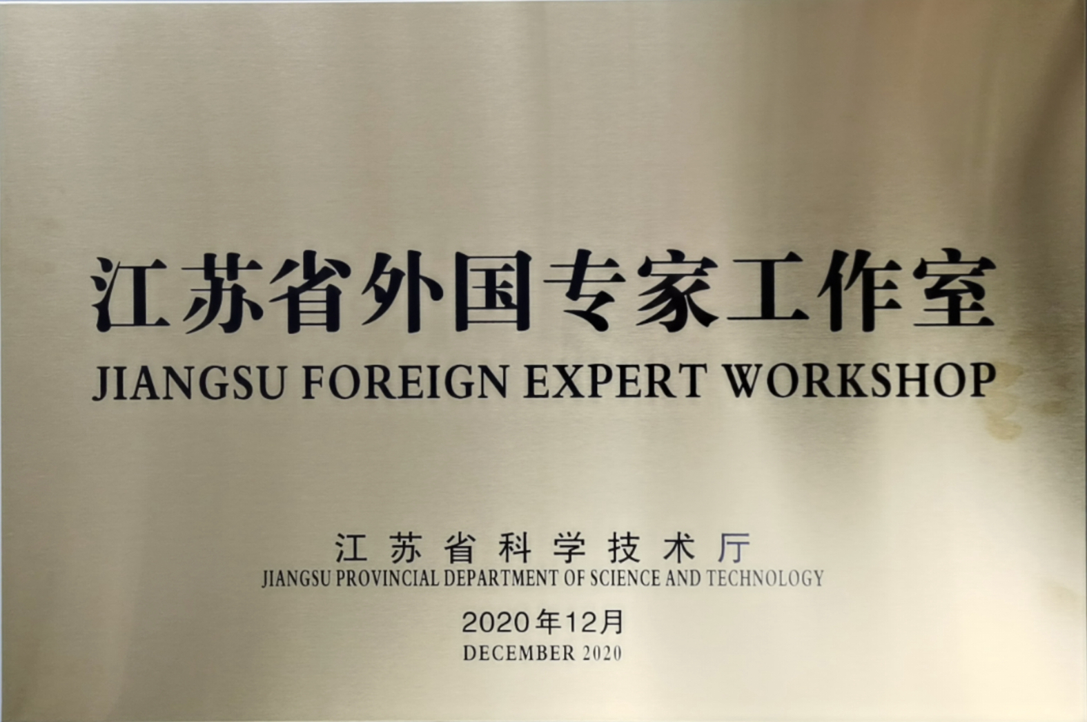 我所获批“江苏省外国专家工作室”