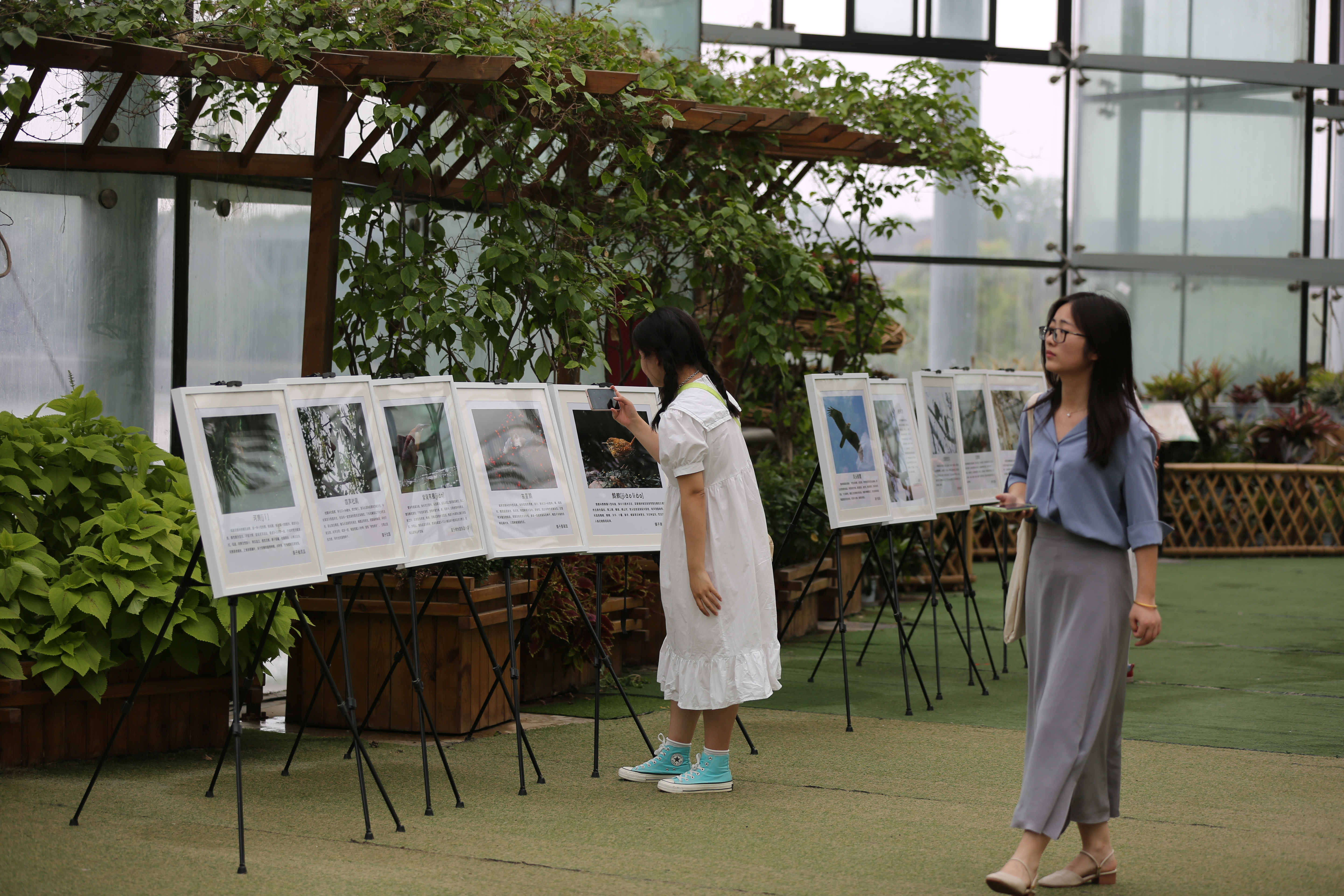 所（园）举办国际生物多样性日主题展览