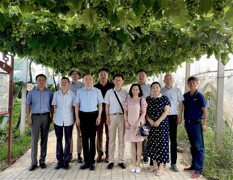 【我为群众办实事】江苏省植物学会组织开展“乡村振兴专家行”活动