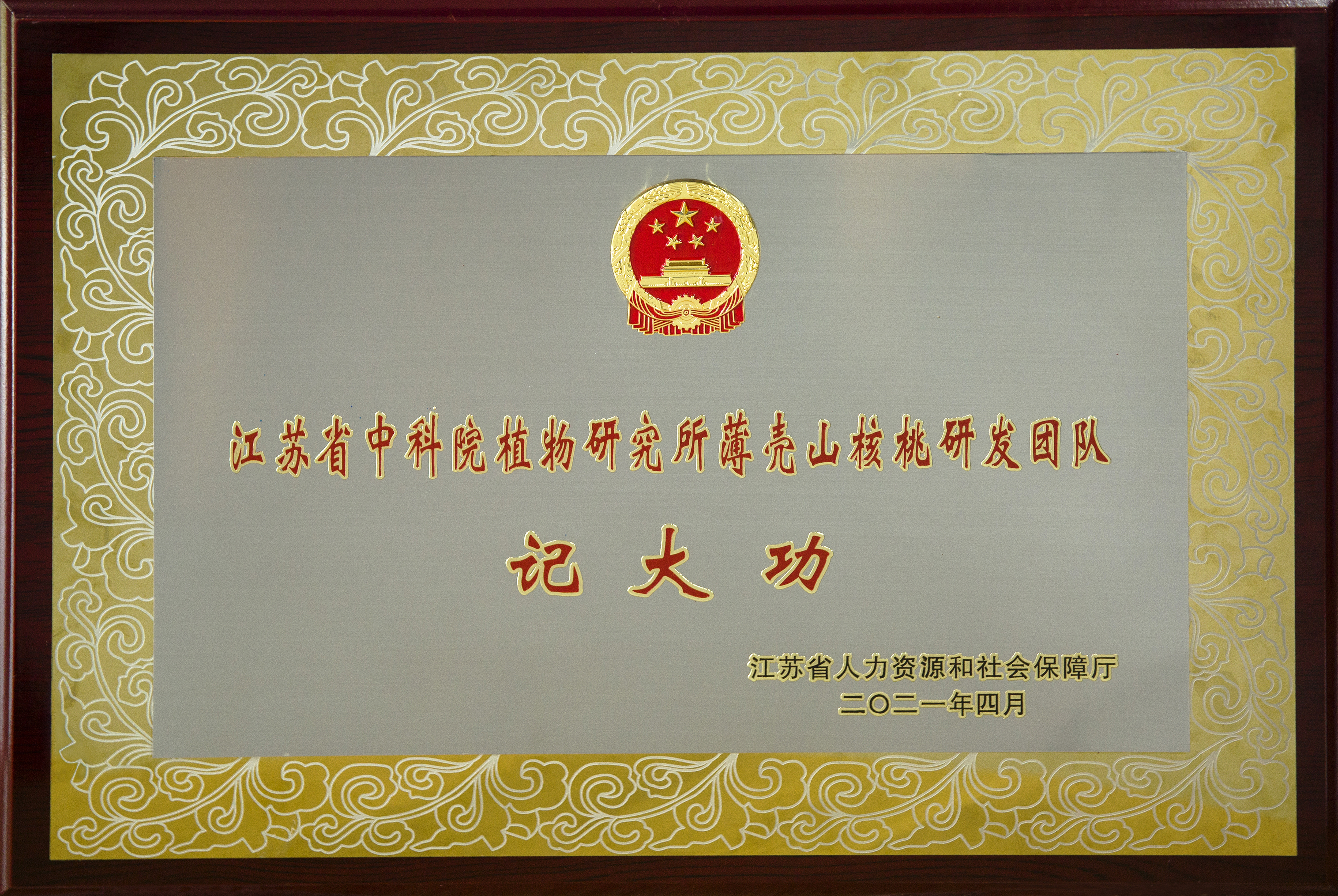 脱贫攻坚记大功奖励证书（薄壳山核桃研发团队）牌匾2.jpg