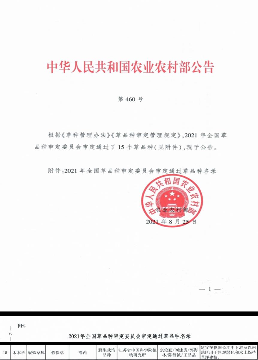 我国首个种子繁殖型假俭草新品种—‘渝西’假俭草通过农业部审定