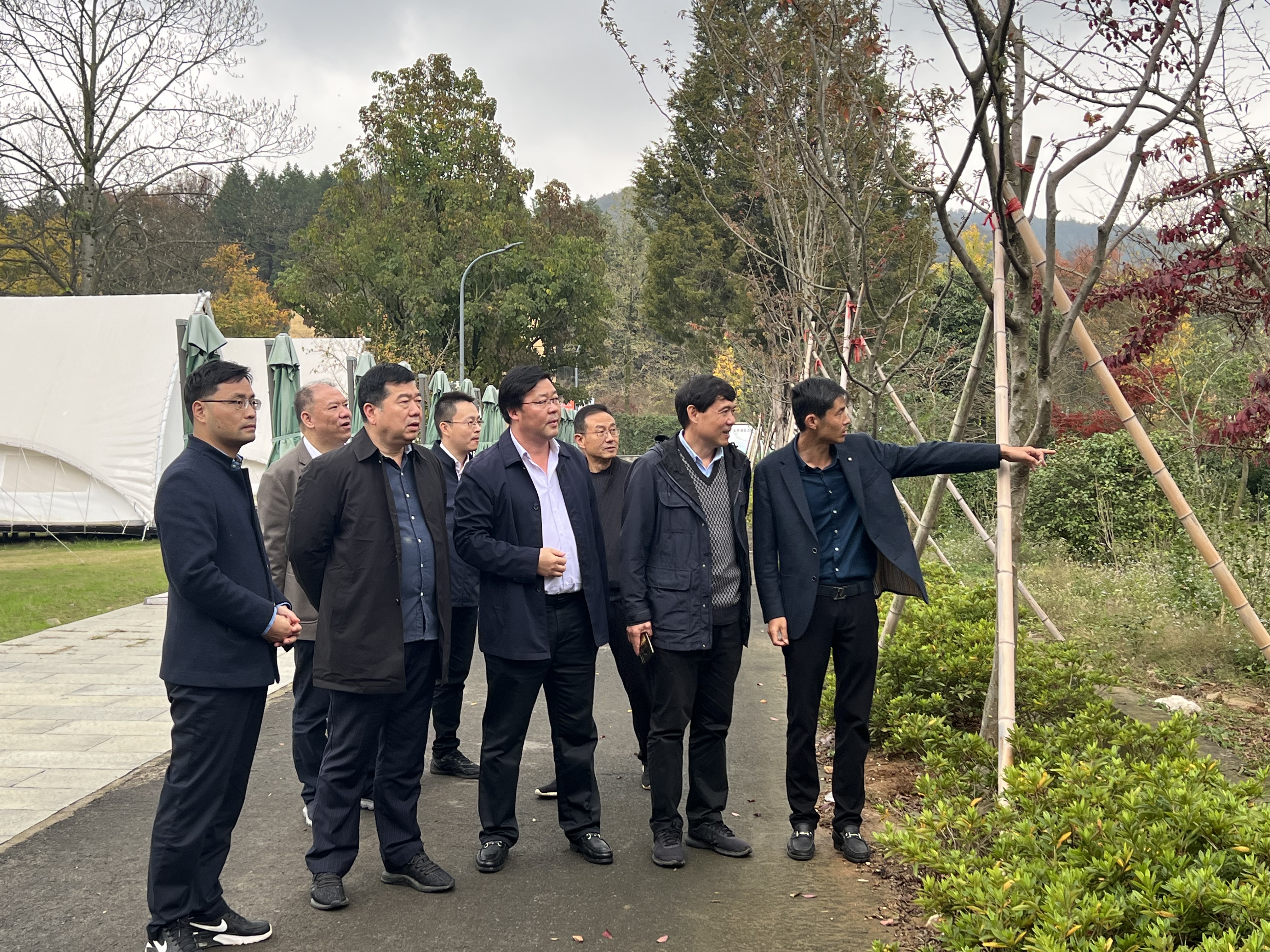 所领导赴宜兴调研银缕梅种质资源保护与开发利用