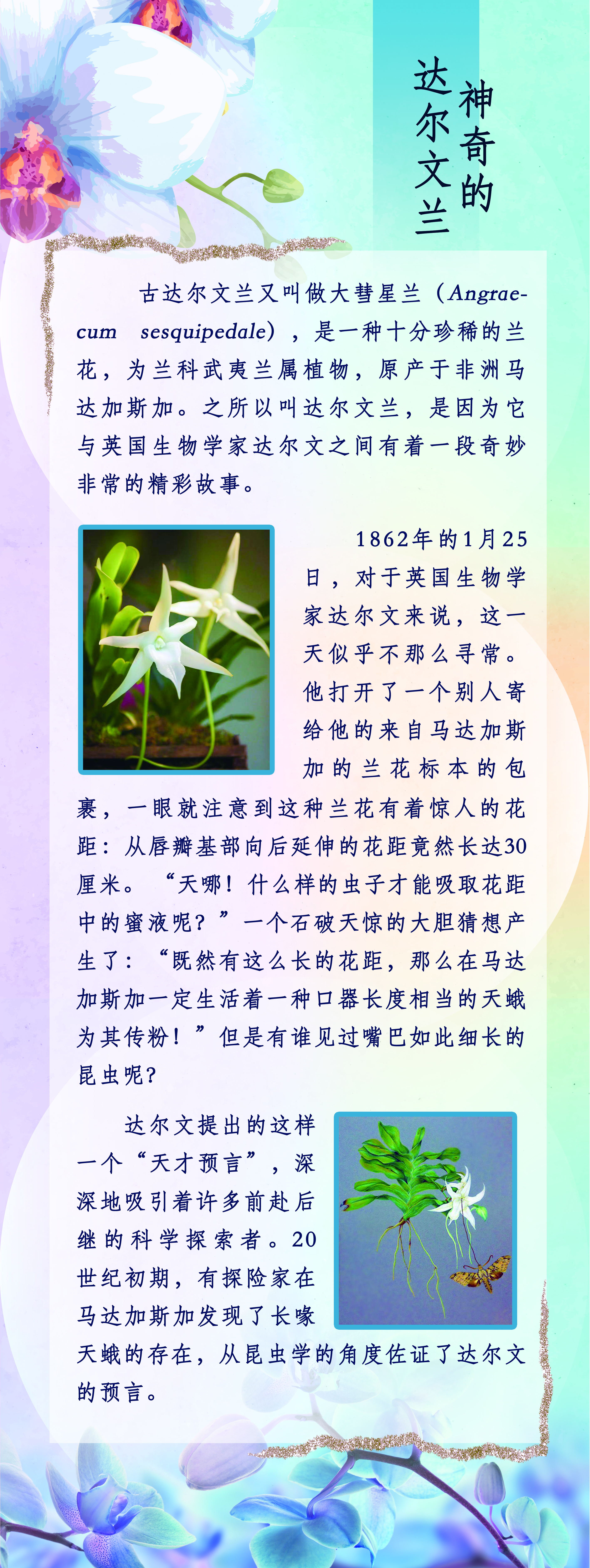 9e93c84cd978213b217203de15c7a23.jpg