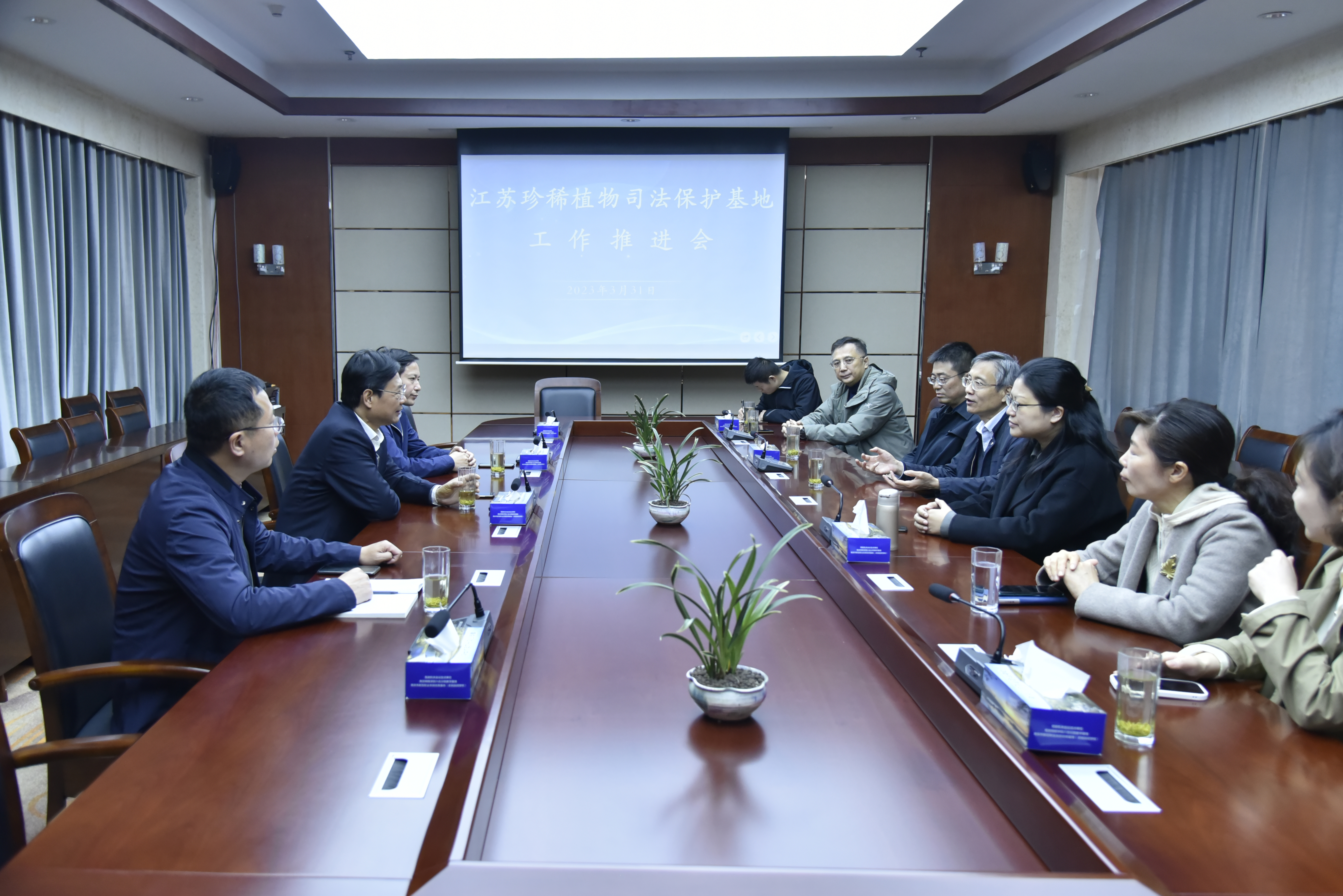 所领导调研珍稀濒危植物保护工作
