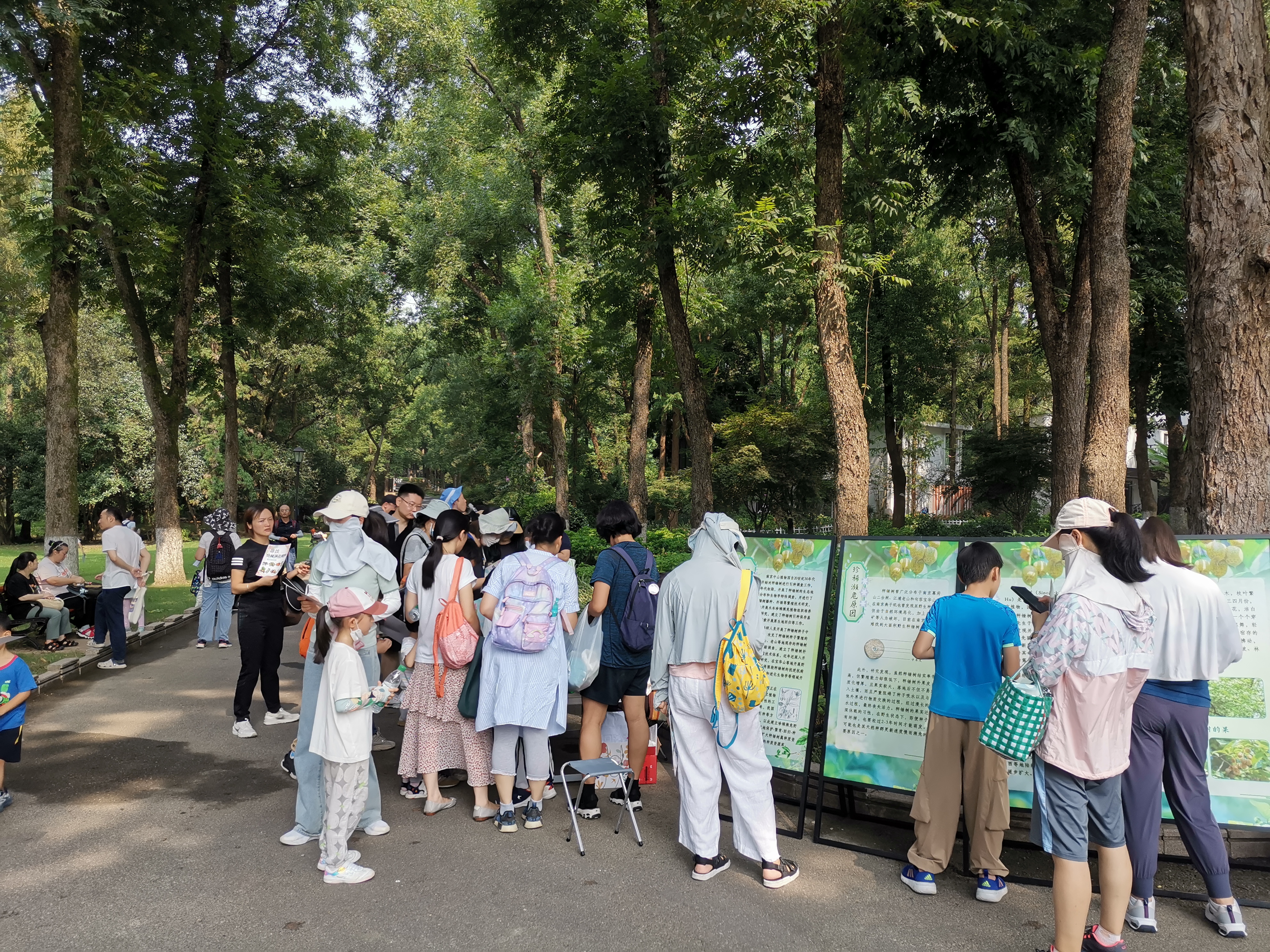 所（园）举办“守护珍稀濒危植物”科普活动