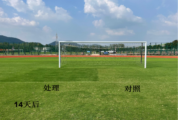 所（园）科研团队提出改善土壤板结问题新方法