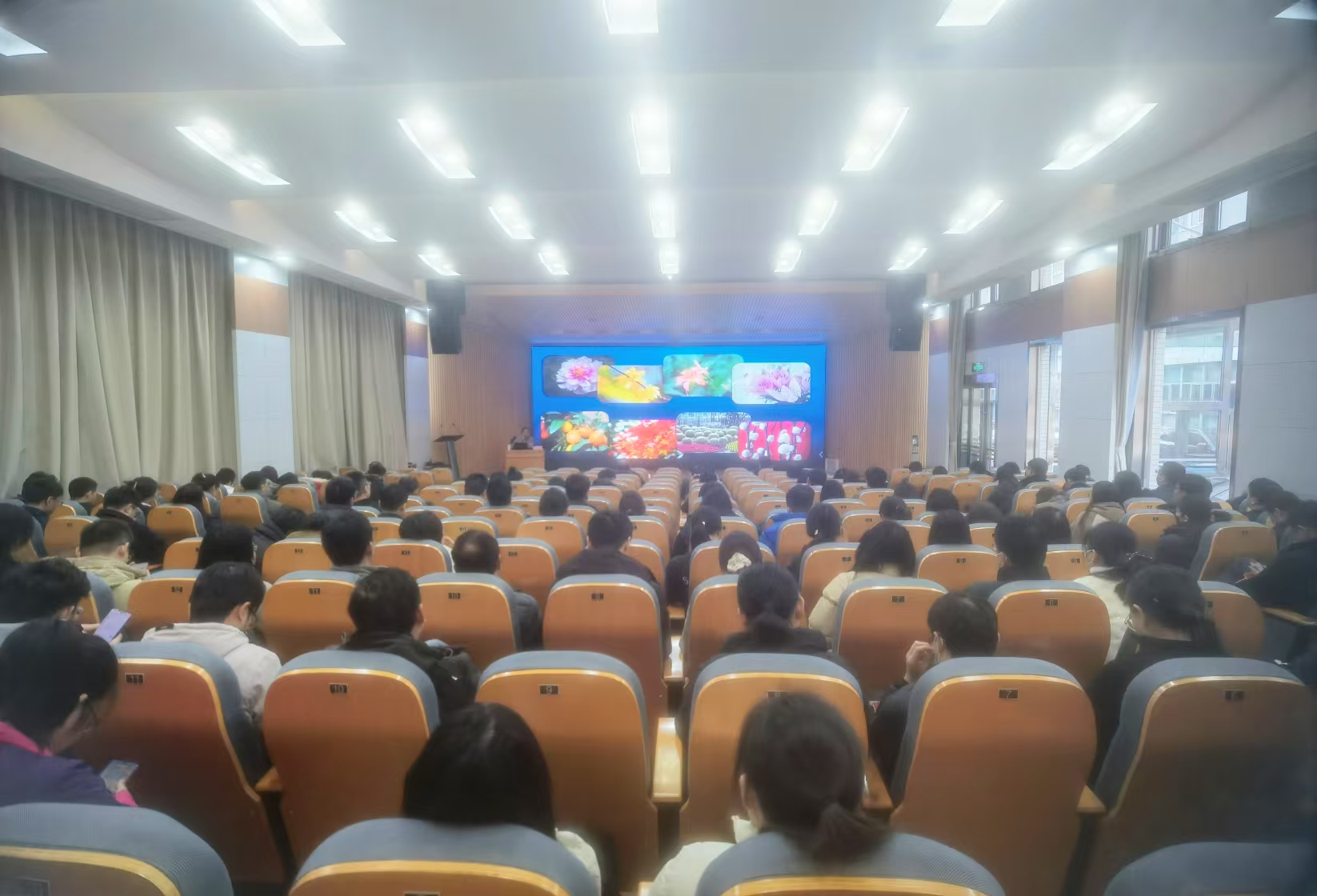 所（园）科普专家应邀赴南京环科所作植物与生态文明建设主题的科普报告