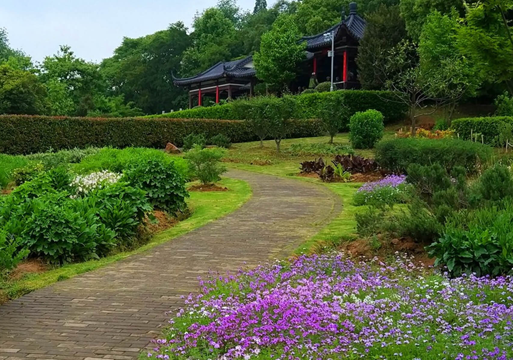 球宿根花卉园