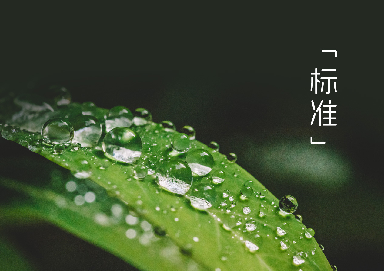 发布标准