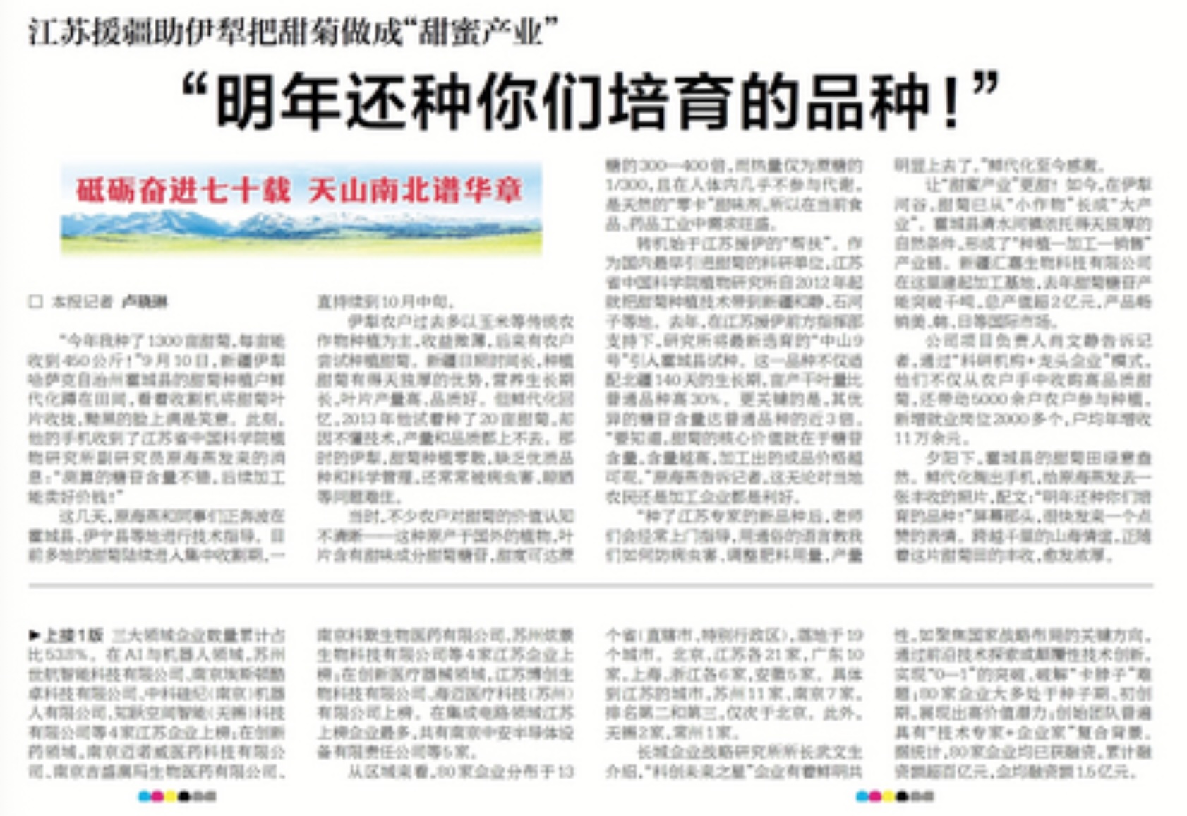 江苏援疆助伊犁把甜菊做成“甜蜜产业”