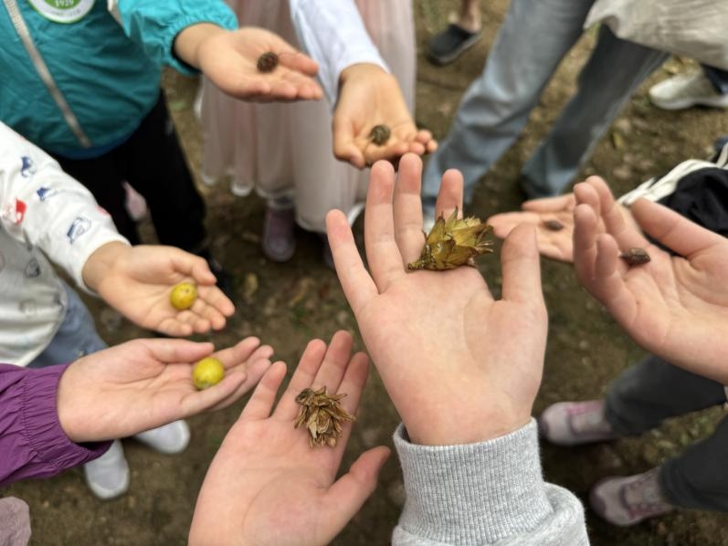 触摸“活化石”，共筑保护网  南京中山植物园科普月活动引领公众守护珍稀濒危植物