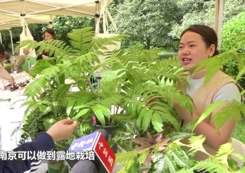 植物园与美好生活科普展亮相南京 邀约民众赏“蕨”美生活