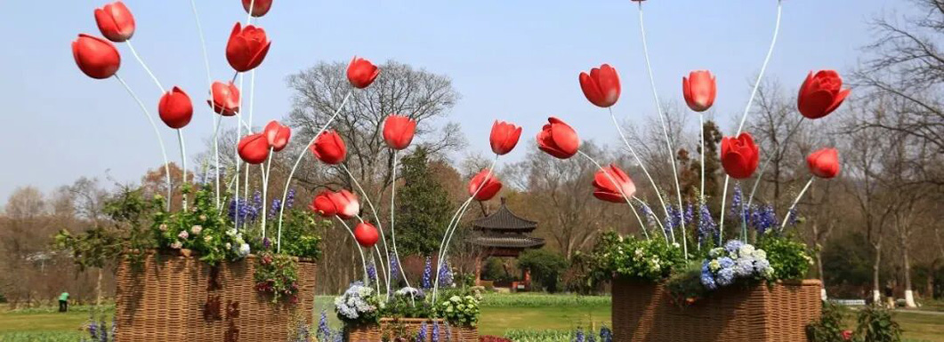 南京中山植物园第29届春季花展盛大开幕，&ldquo;莫奈花园&rdquo;惊艳升级