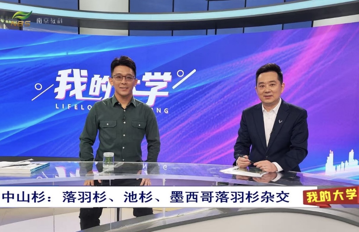 解码生态&ldquo;绿色卫士&rdquo;科研赋能绿水青山－我所科研人员做客南京教科频道《我的大学》专题科普中山杉