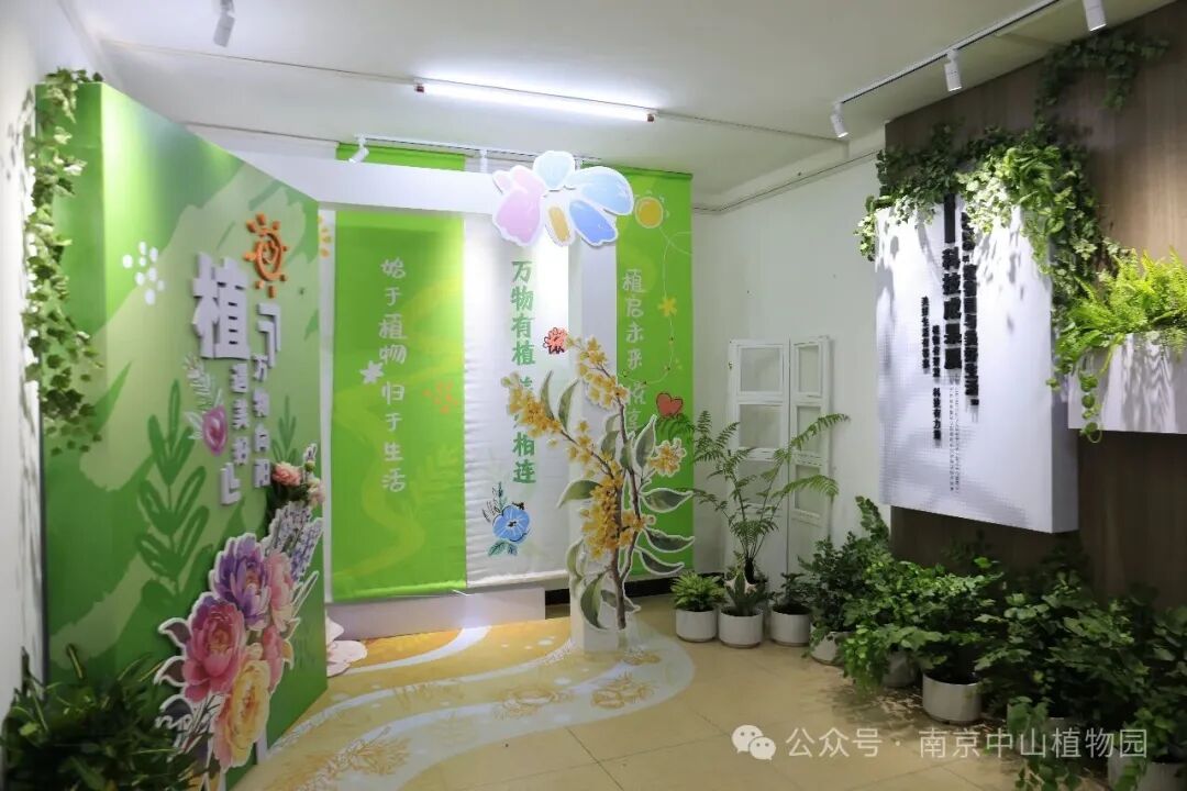 探索自然奥秘，共享科学盛宴&mdash;&mdash;南京中山植物园2026年全国科普月四大主题展览盛大启幕